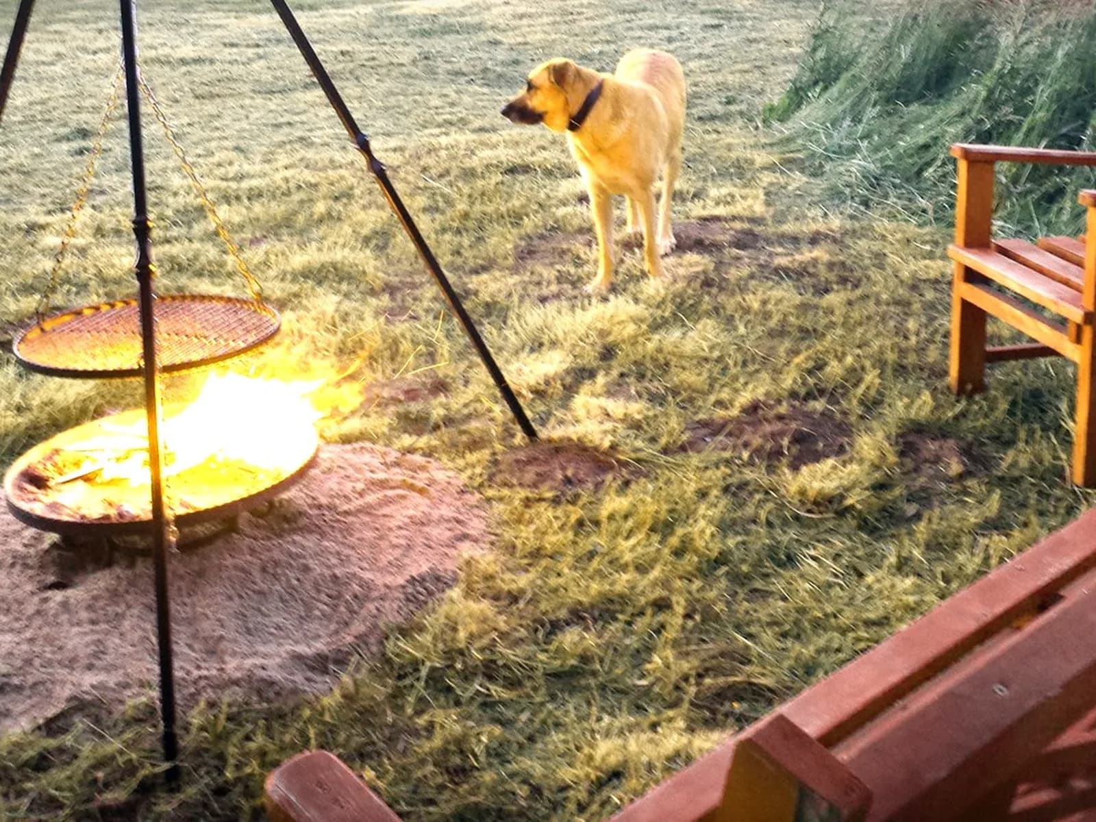 Wieczorne ognisko przy domkach nad morzem w Mielnie